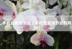 手机音量调节器（手机音量调节器有用吗）