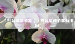 手机音量调节器（手机音量调节器有用吗）