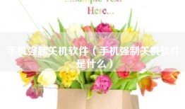 手机强制关机软件(手机强制关机软件是什么)