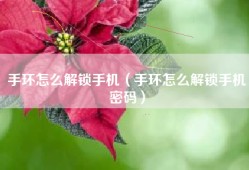 手环怎么解锁手机（手环怎么解锁手机密码）
