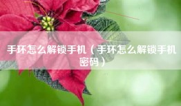 手环怎么解锁手机（手环怎么解锁手机密码）