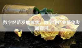 数字经济发展现状，数字化产业整体发展如何