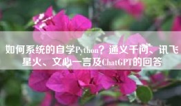 如何系统的自学Python？通义千问、讯飞星火、文心一言及ChatGPT的回答