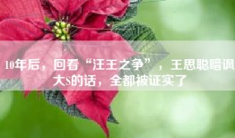 10年后，回看“汪王之争”，王思聪暗讽大S的话，全都被证实了