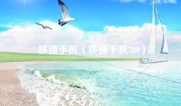 移通手机（移通手机700）