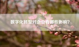 数字化转型对企业有哪些影响？