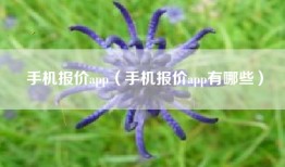 手机报价app（手机报价app有哪些）