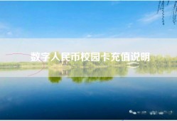 数字人民币校园卡充值说明