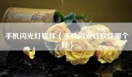 手机闪光灯软件（手机闪光灯软件哪个好）