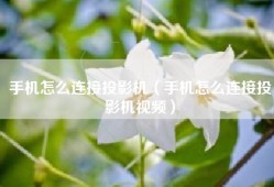 手机怎么连接投影机（手机怎么连接投影机视频）