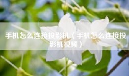 手机怎么连接投影机（手机怎么连接投影机视频）