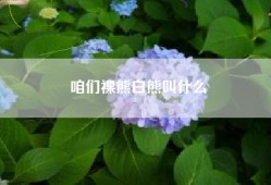 咱们裸熊白熊叫什么