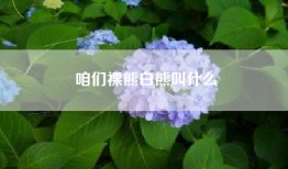 咱们裸熊白熊叫什么