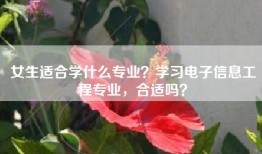 女生适合学什么专业？学习电子信息工程专业，合适吗？