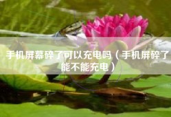手机屏幕碎了可以充电吗（手机屏碎了能不能充电）