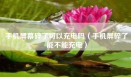 手机屏幕碎了可以充电吗（手机屏碎了能不能充电）