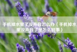 手机掉水里了没声音怎么办（手机掉水里没声音了是怎么回事）