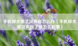 手机掉水里了没声音怎么办（手机掉水里没声音了是怎么回事）