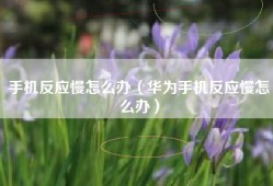 手机反应慢怎么办（华为手机反应慢怎么办）