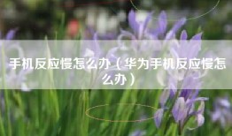 手机反应慢怎么办（华为手机反应慢怎么办）