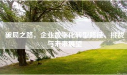 破局之路，企业数字化转型路径、挑战与未来展望