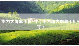华为大屏幕手机9寸（华为超大屏幕手机9寸）