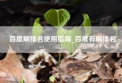 百度刷排名使用指南_百度有刷排名
