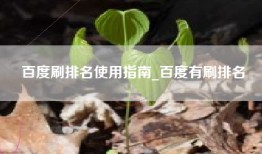百度刷排名使用指南_百度有刷排名
