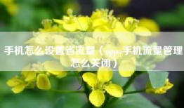 手机怎么设置省流量(oppo手机流量管理怎么关闭)
