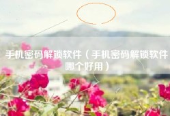 手机密码解锁软件（手机密码解锁软件哪个好用）