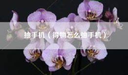 抽手机（得物怎么抽手机）