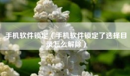手机软件锁定（手机软件锁定了选择目录怎么解除）