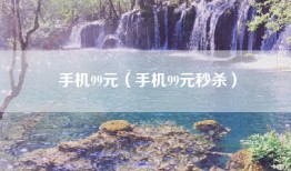 手机99元（手机99元秒杀）