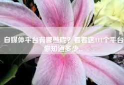 自媒体平台有哪些呢？看看这111个平台你知道多少...