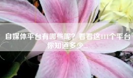 自媒体平台有哪些呢？看看这111个平台你知道多少...
