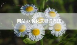 网站SEO优化关键词方法