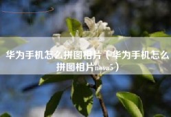 华为手机怎么拼图相片（华为手机怎么拼图相片nova5）