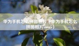 华为手机怎么拼图相片（华为手机怎么拼图相片nova5）