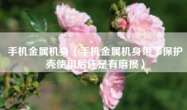 手机金属机身（手机金属机身带了保护壳使用后还是有磨损）