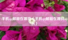 手机qq邮箱在哪找（手机qq邮箱在哪找oppo）