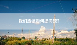 我们应该如何提问题？