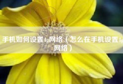 手机如何设置4g网络（怎么在手机设置4g网络）