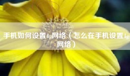 手机如何设置4g网络（怎么在手机设置4g网络）