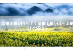 苹果手机4g用不了（苹果手机4g用不了是什么原因）