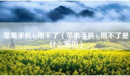 苹果手机4g用不了（苹果手机4g用不了是什么原因）