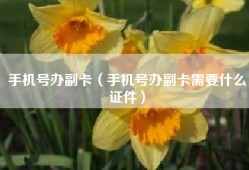 手机号办副卡（手机号办副卡需要什么证件）