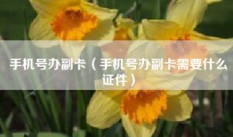 手机号办副卡（手机号办副卡需要什么证件）
