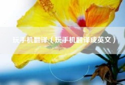 玩手机翻译（玩手机翻译成英文）