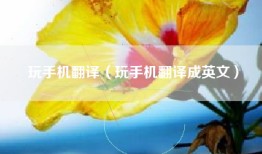 玩手机翻译（玩手机翻译成英文）