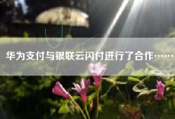 华为支付与银联云闪付进行了合作……